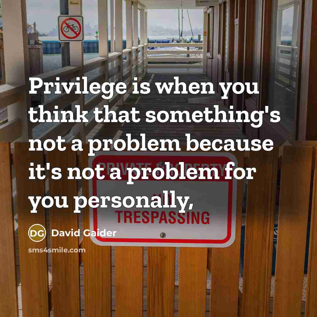 “Privilege is when you think that something's not a problem…” quote by David Gaider