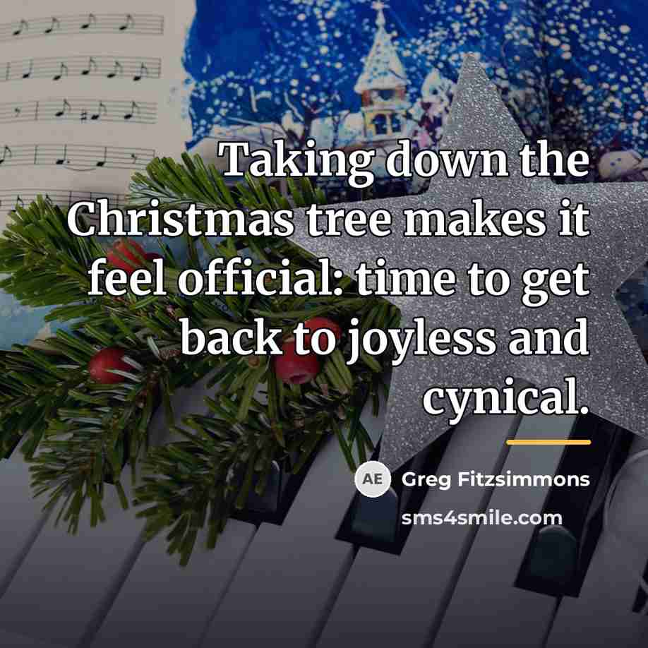 “Taking down the Christmas tree makes it feel official: time…” quote by Greg Fitzsimmons