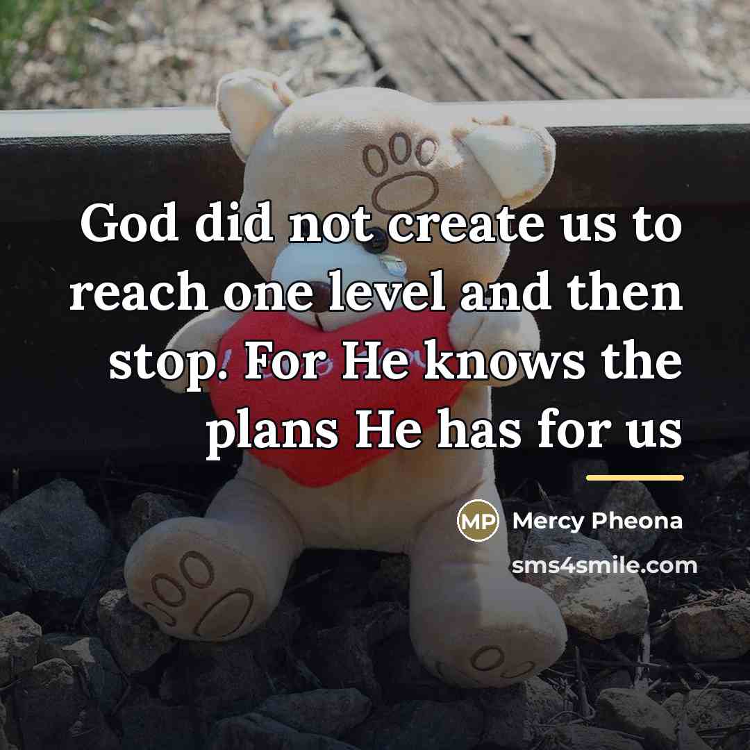 “God did not create us to reach one level and…” quote by Mercy Pheona