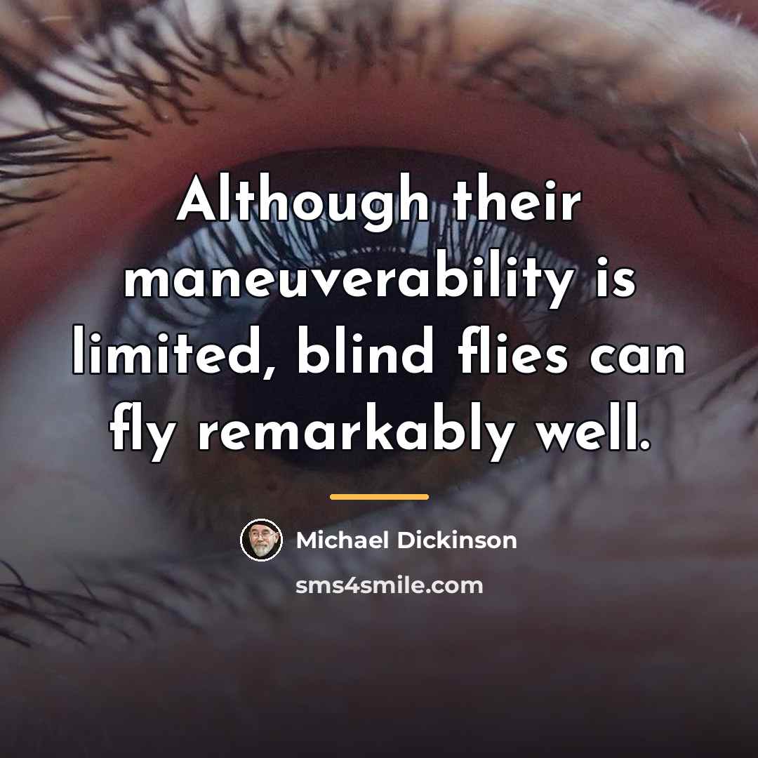 “Although their maneuverability is limited, blind flies can fly remarkably…” quote by Michael Dickinson