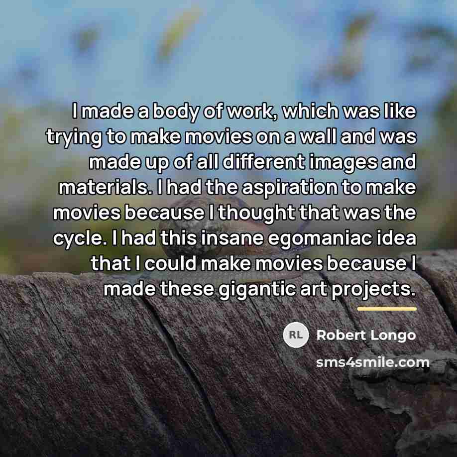 “I made a body of work, which was like trying…” quote by Robert Longo