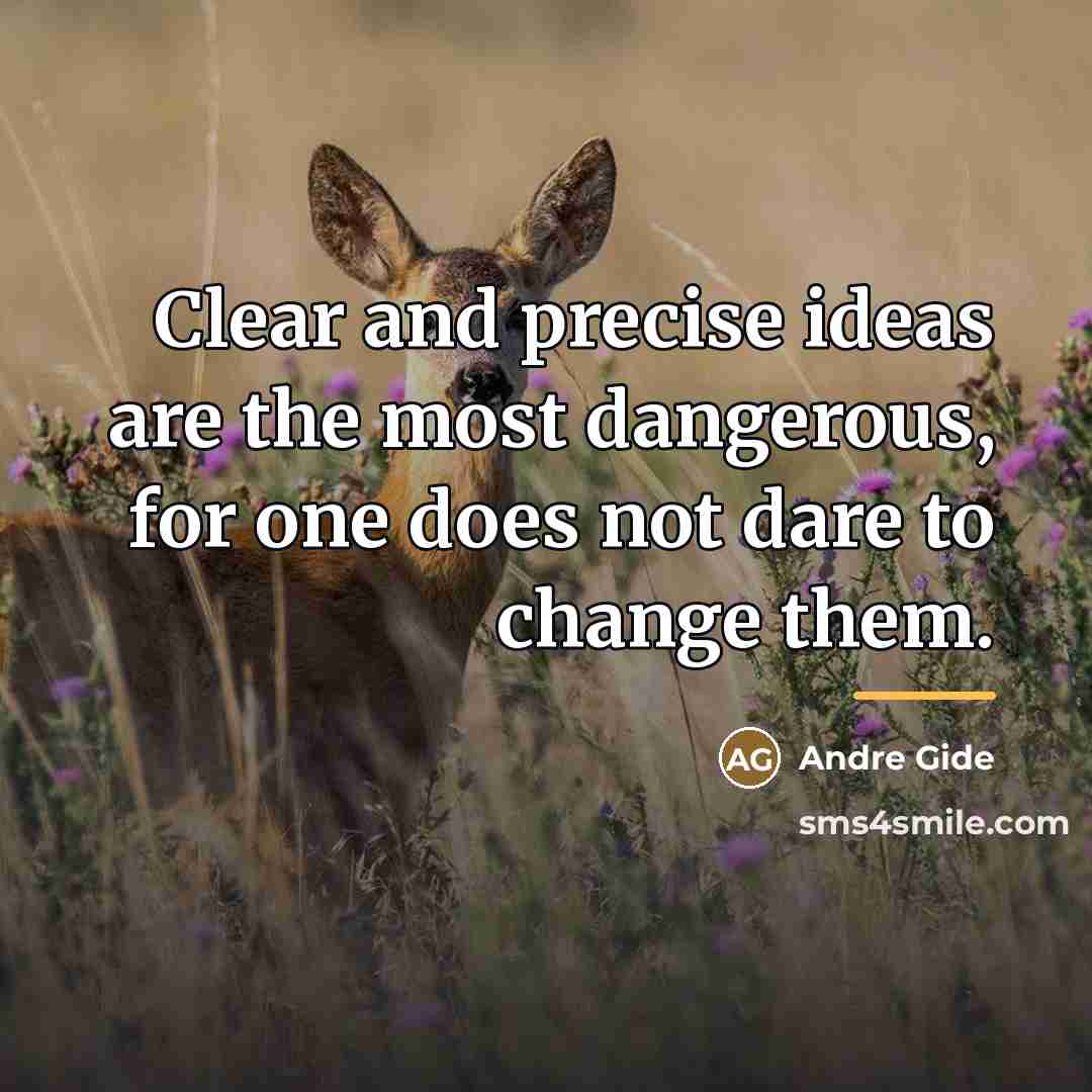 “Clear and precise ideas are the most dangerous, for one…” quote by Andre Gide