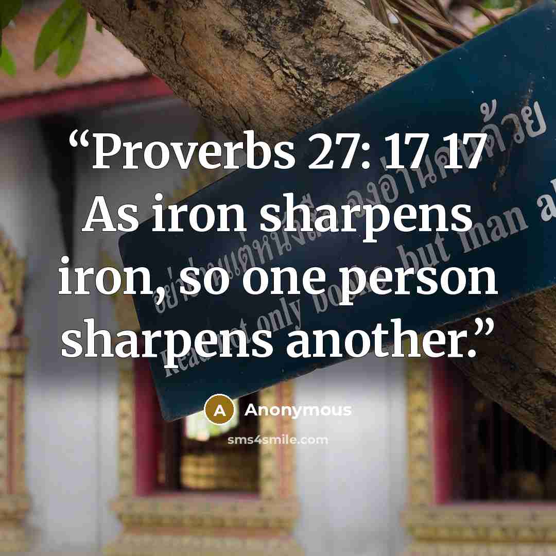 “Proverbs 27: 17 17 As iron sharpens iron, so one person sharpens another.” quote by Anonymous