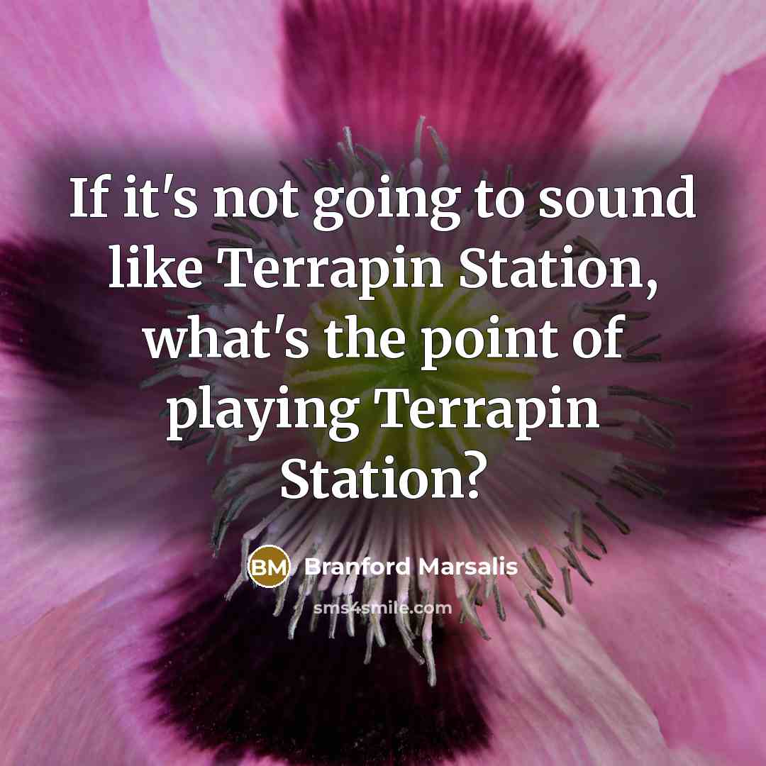 “If it's not going to sound like Terrapin Station, what's…” quote by Branford Marsalis