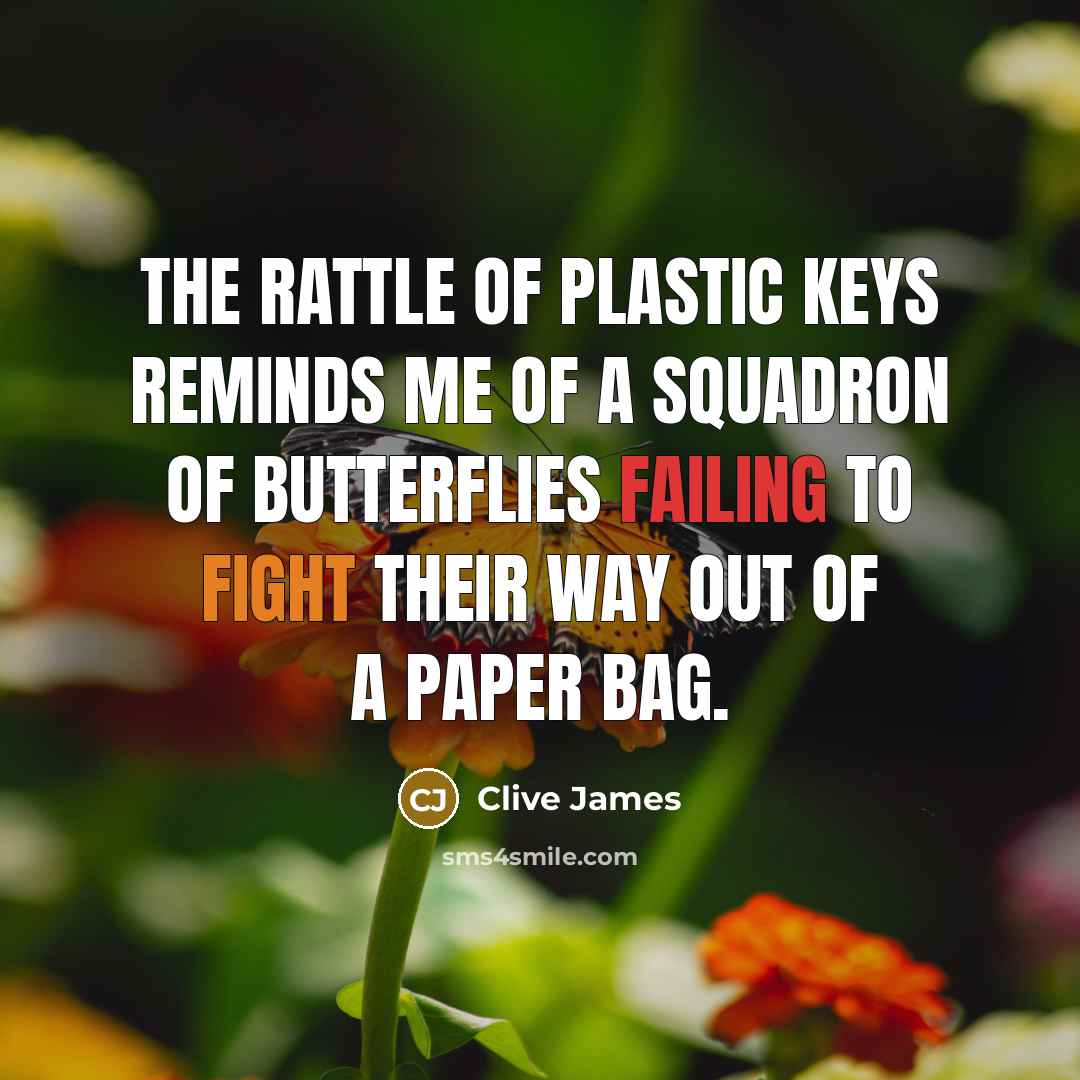 “The rattle of plastic keys reminds me of a squadron…” quote by Clive James
