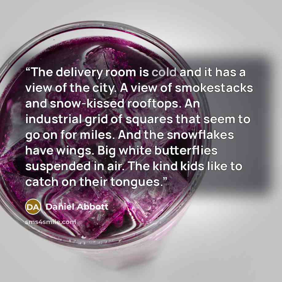 “The delivery room is cold and it has a view of the city. A view of smokestacks and snow-kissed rooftops. An industrial grid of squares that seem to go on for miles. And the snowflakes have wings. Big white butterflies suspended in air. The kind kids like to catch on their tongues.” quote by Daniel Abbott