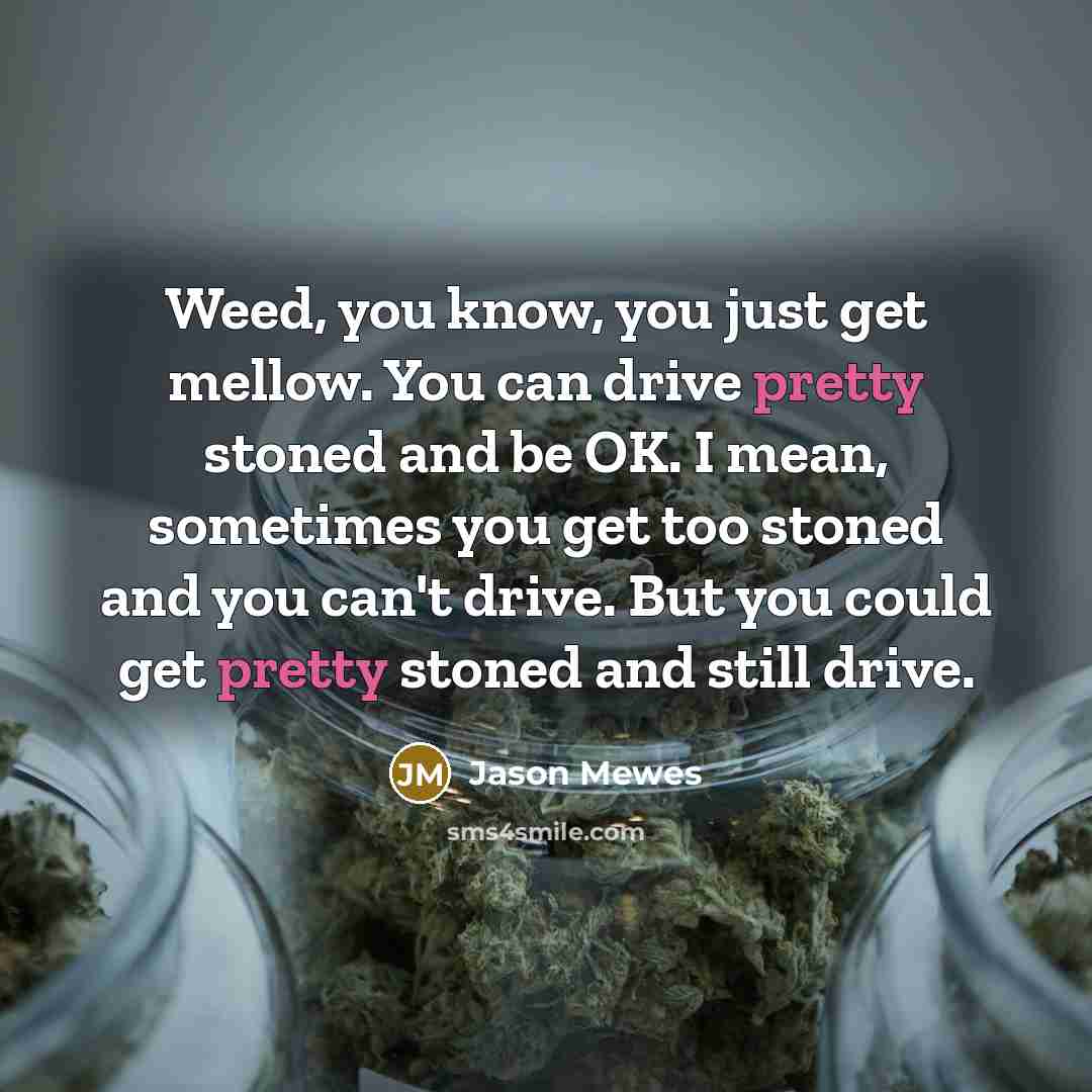 “Weed, you know, you just get mellow. You can drive…” quote by Jason Mewes