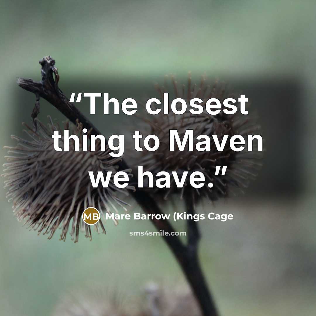 “The closest thing to Maven we have.” quote by Mare Barrow (Kings Cage