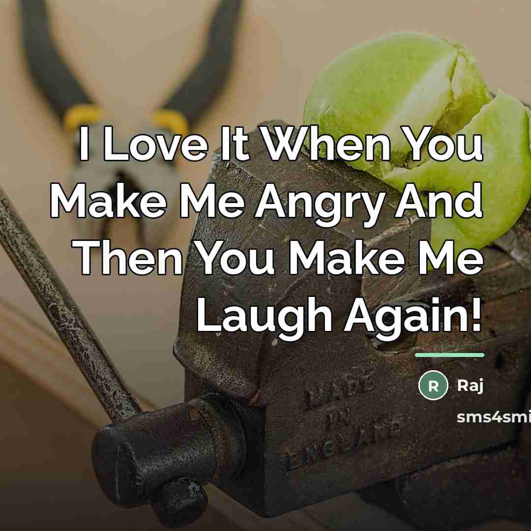 “I Love It When You Make Me Angry And Then…” quote by Raj
