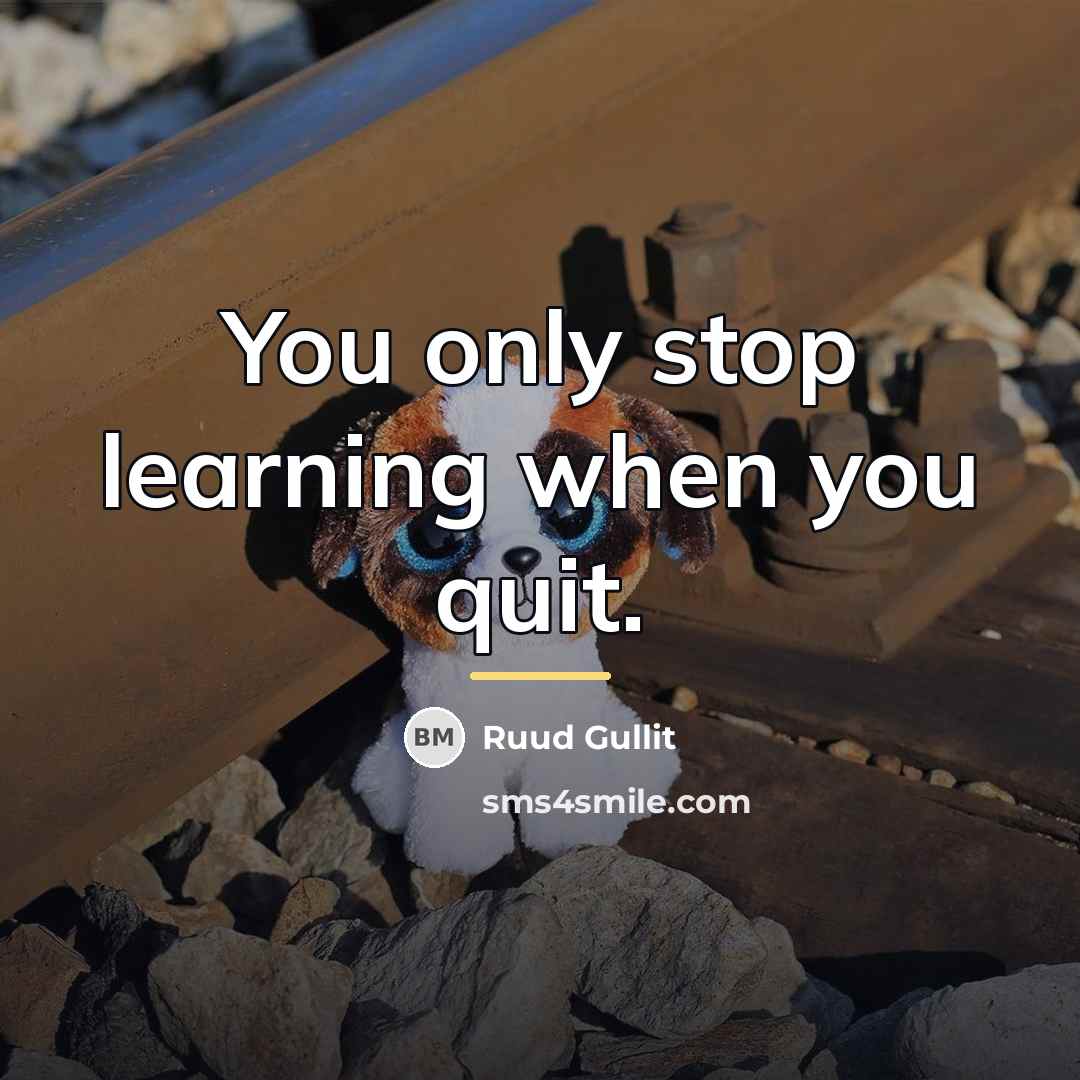 “You only stop learning when you quit.…” quote by Ruud Gullit