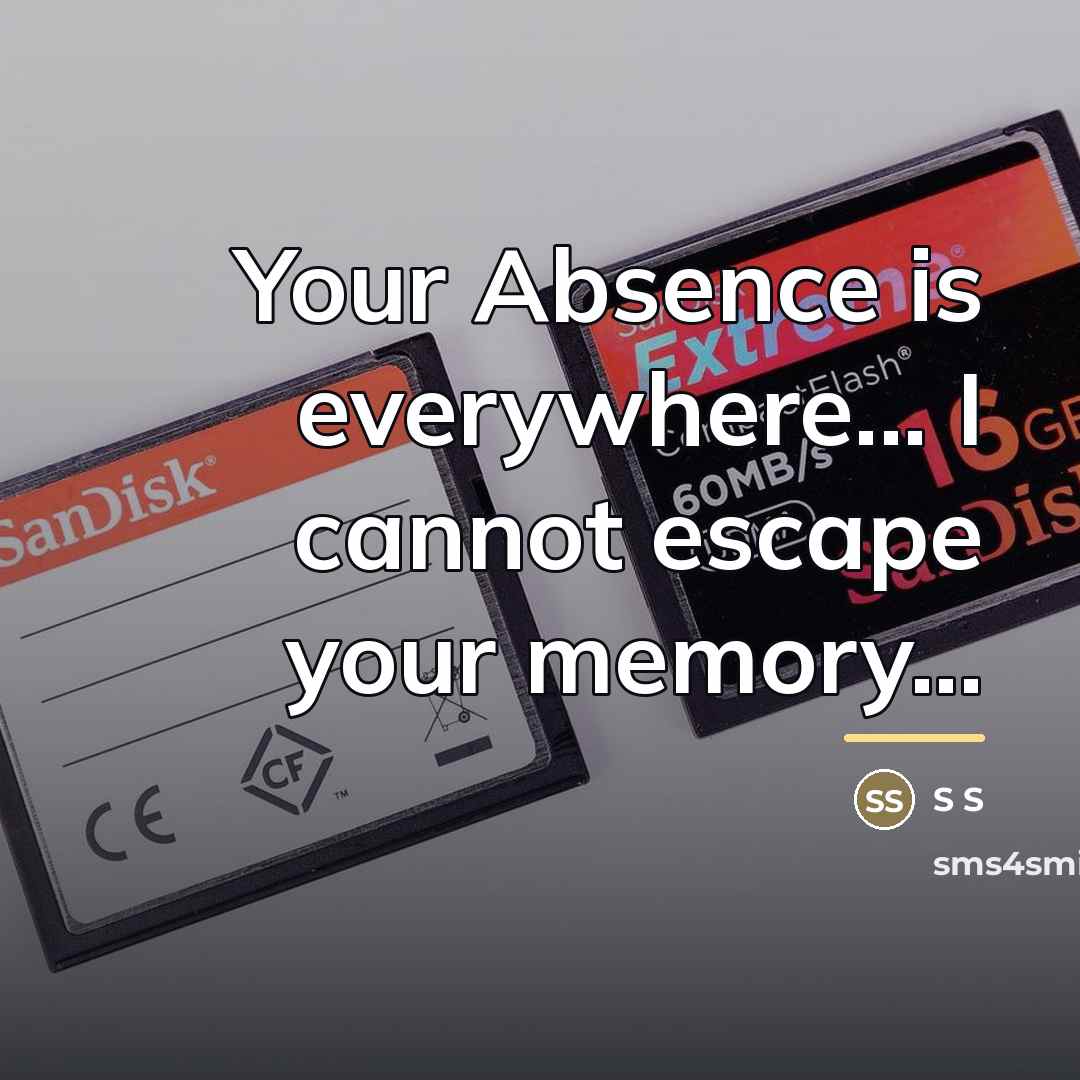 “Your Absence is everywhere... I cannot escape your memory...…” quote by Anonymous