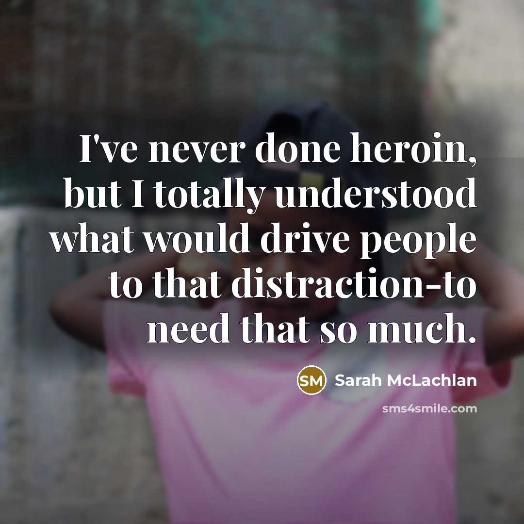 “I've never done heroin, but I totally understood what would…” quote by Sarah McLachlan