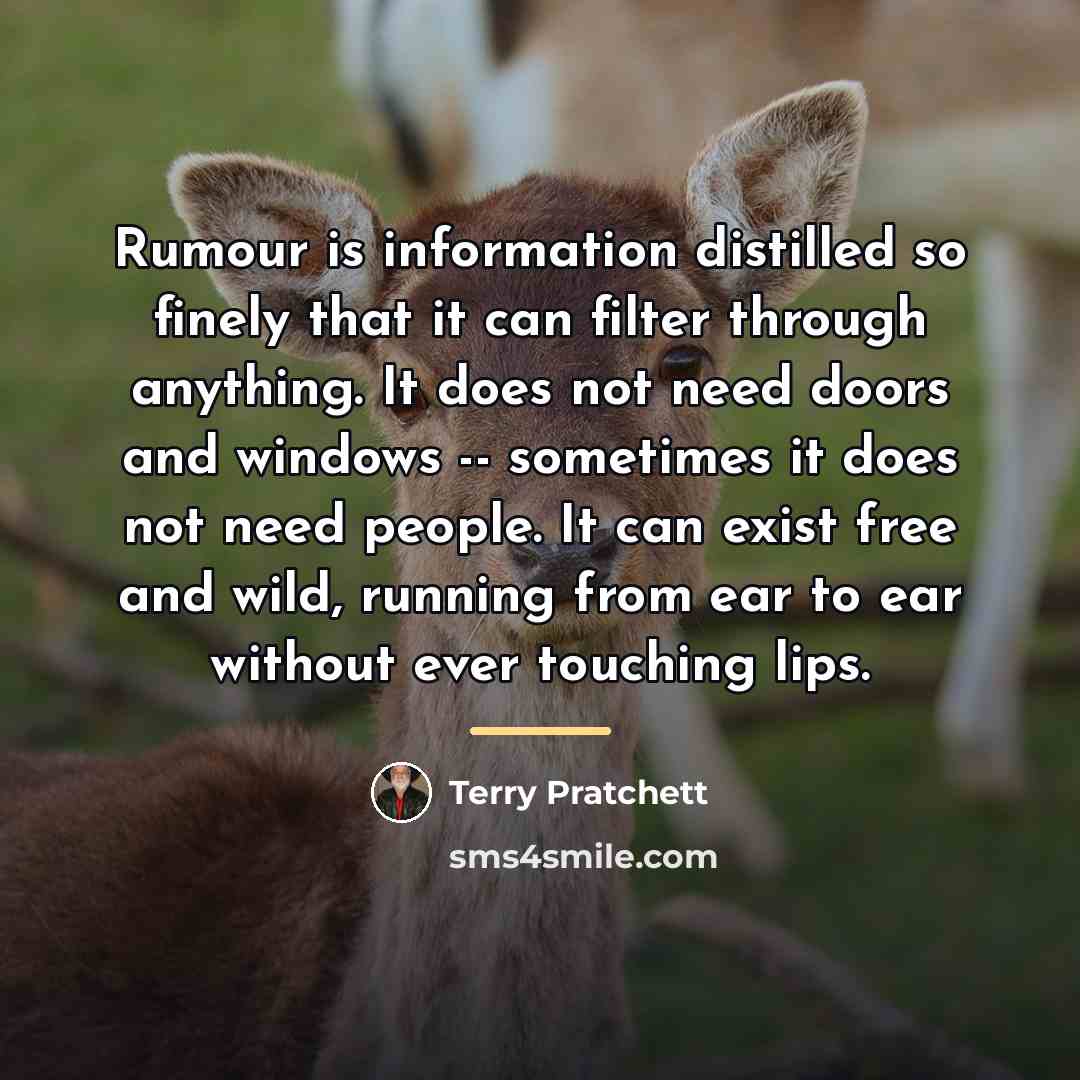 “Rumour is information distilled so finely that it can filter…” quote by Terry Pratchett