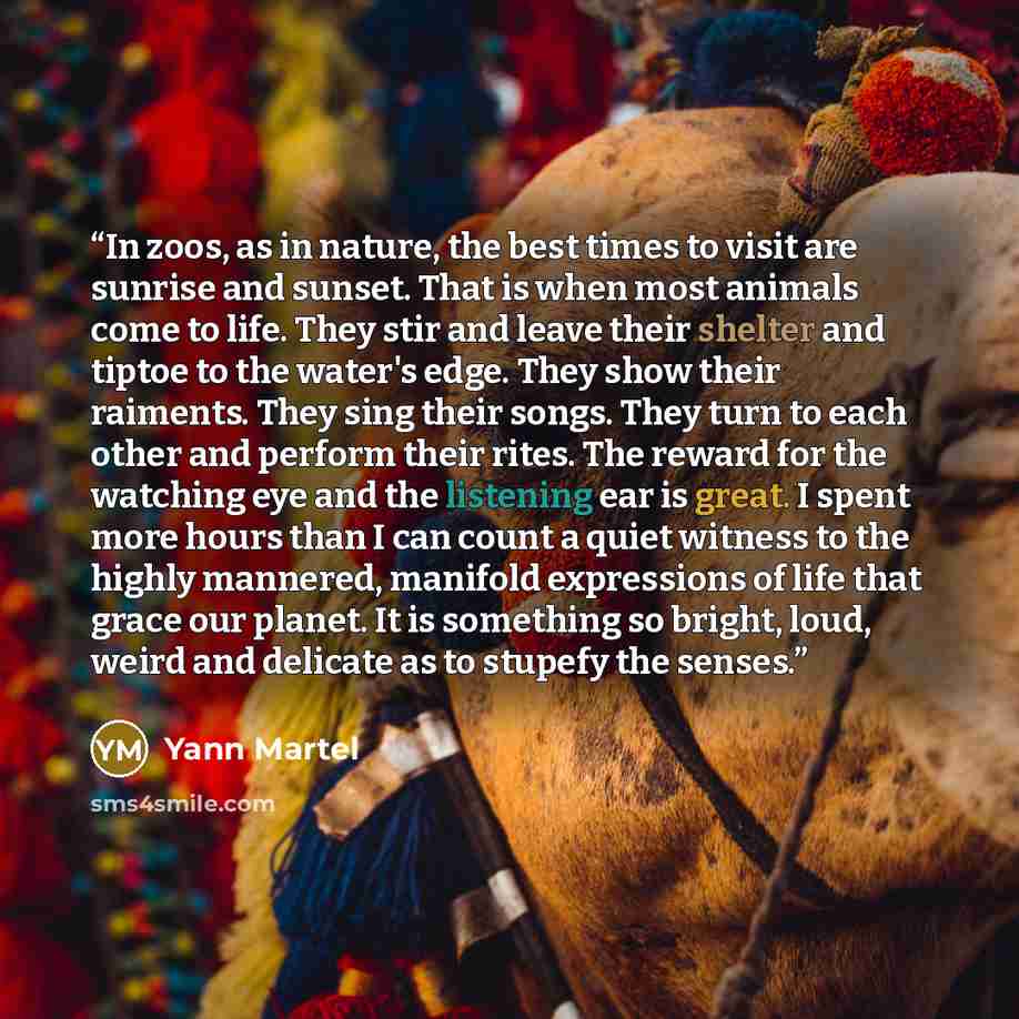 “In zoos, as in nature, the best times to visit are sunrise and sunset. That is when most animals come to life. They stir and leave their shelter and tiptoe to the water's edge. They show their raiments. They sing their songs. They turn to each other and perform their rites. The reward for the…” quote by Yann Martel