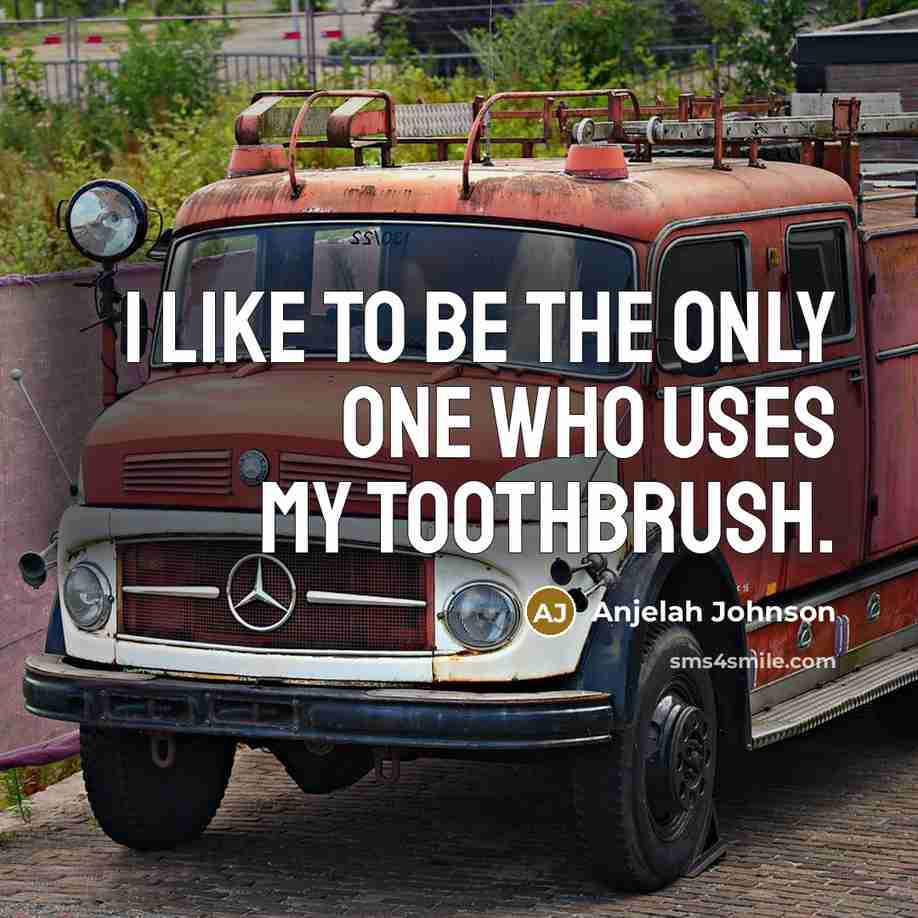 “I like to be the only one who uses my…” quote by Anjelah Johnson