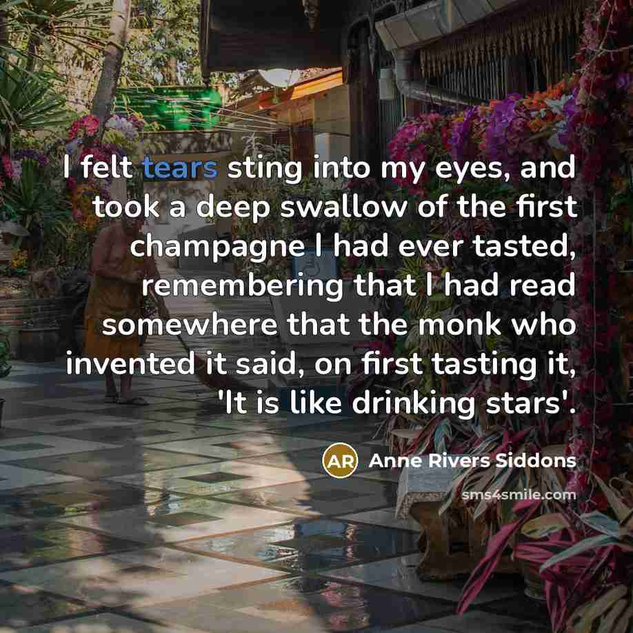 “I felt tears sting into my eyes, and took a…” quote by Anne Rivers Siddons