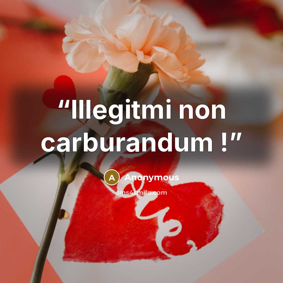 “Illegitmi non carburandum !” quote by Anonymous