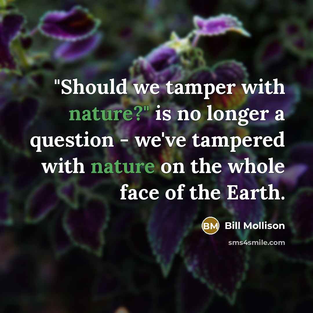 “"Should we tamper with nature?" is no longer a question…” quote by Bill Mollison