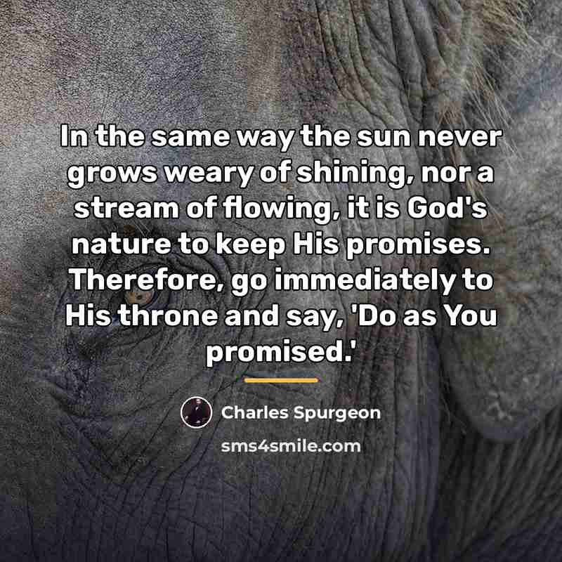 “In the same way the sun never grows weary of…” quote by Charles Spurgeon