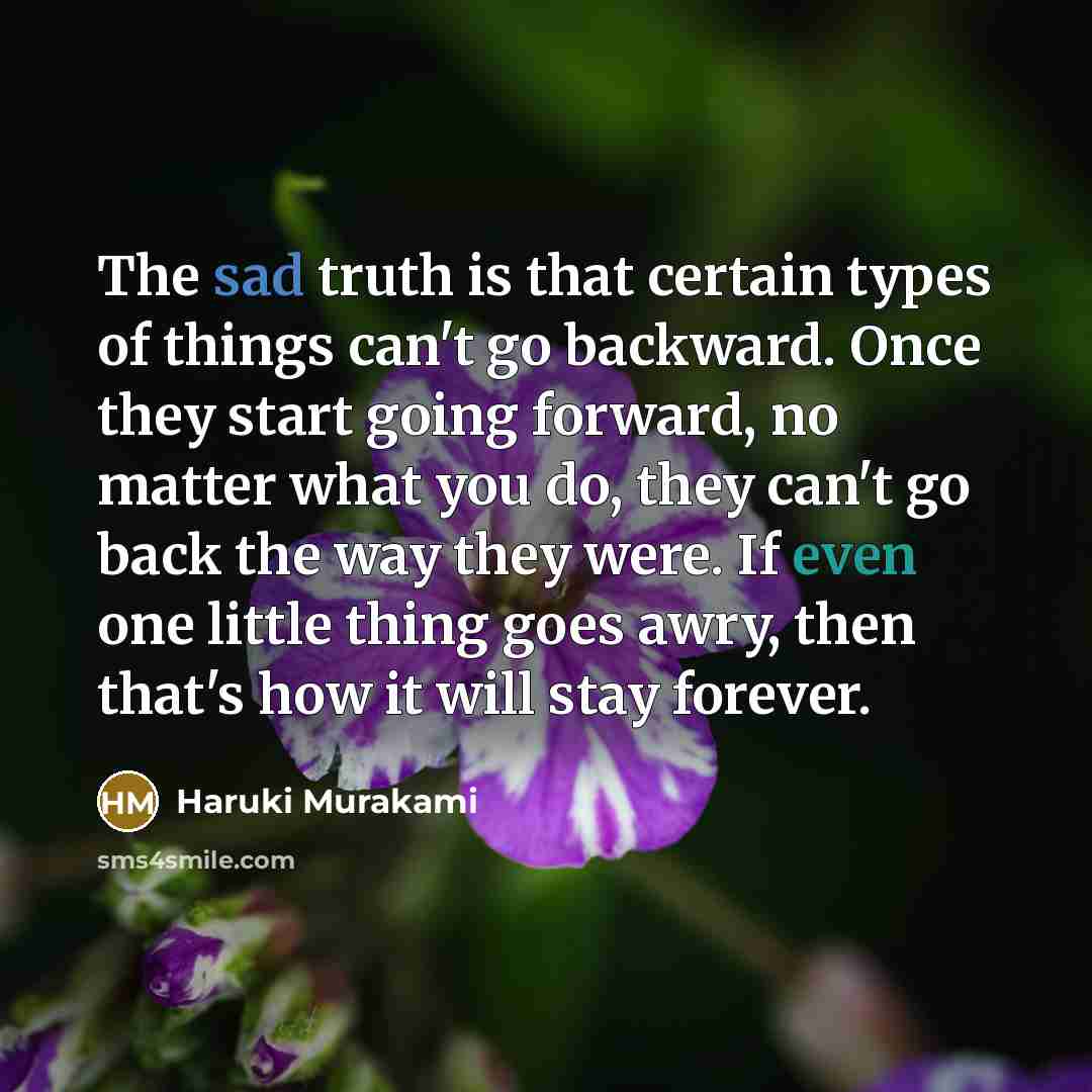 “The sad truth is that certain types of things can't…” quote by Haruki Murakami