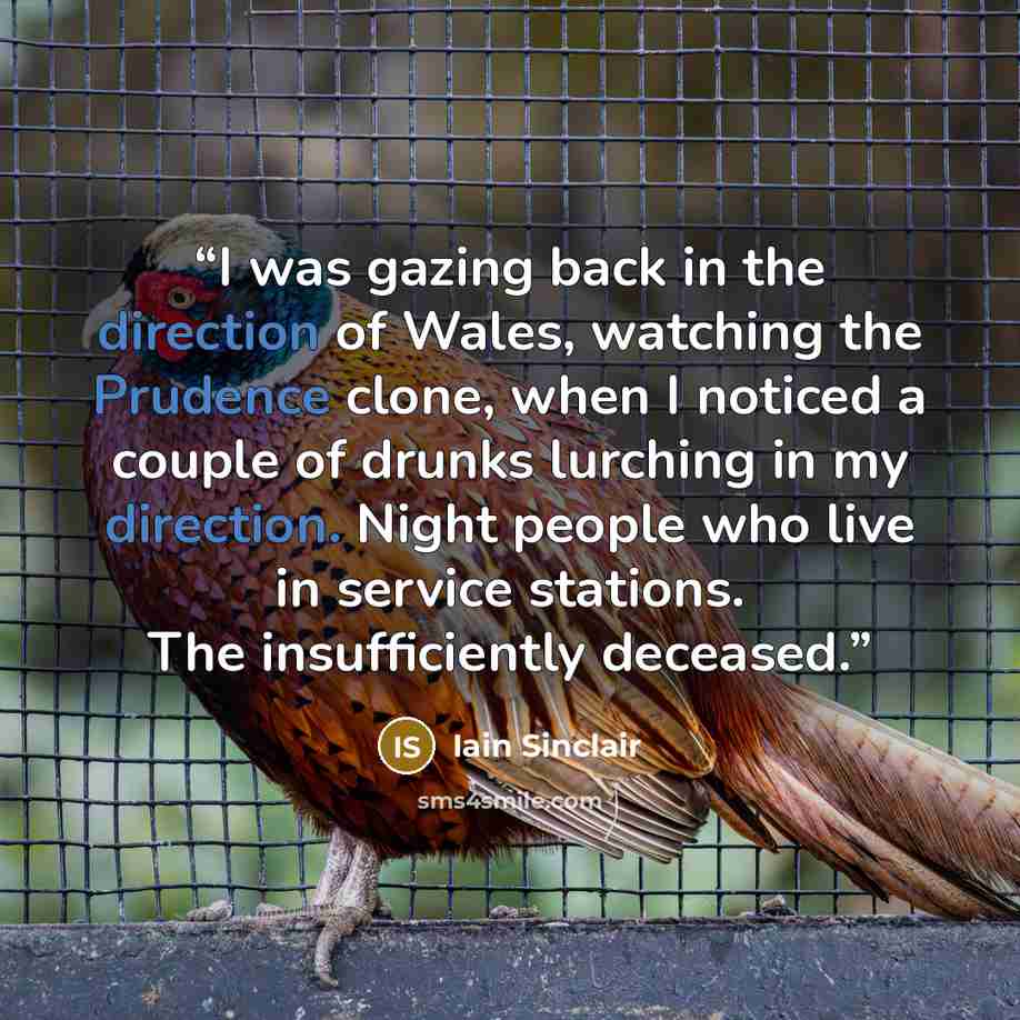 “I was gazing back in the direction of Wales, watching the Prudence clone, when I noticed a couple of drunks lurching in my direction. Night people who live in service stations. The insufficiently deceased.” quote by Iain Sinclair