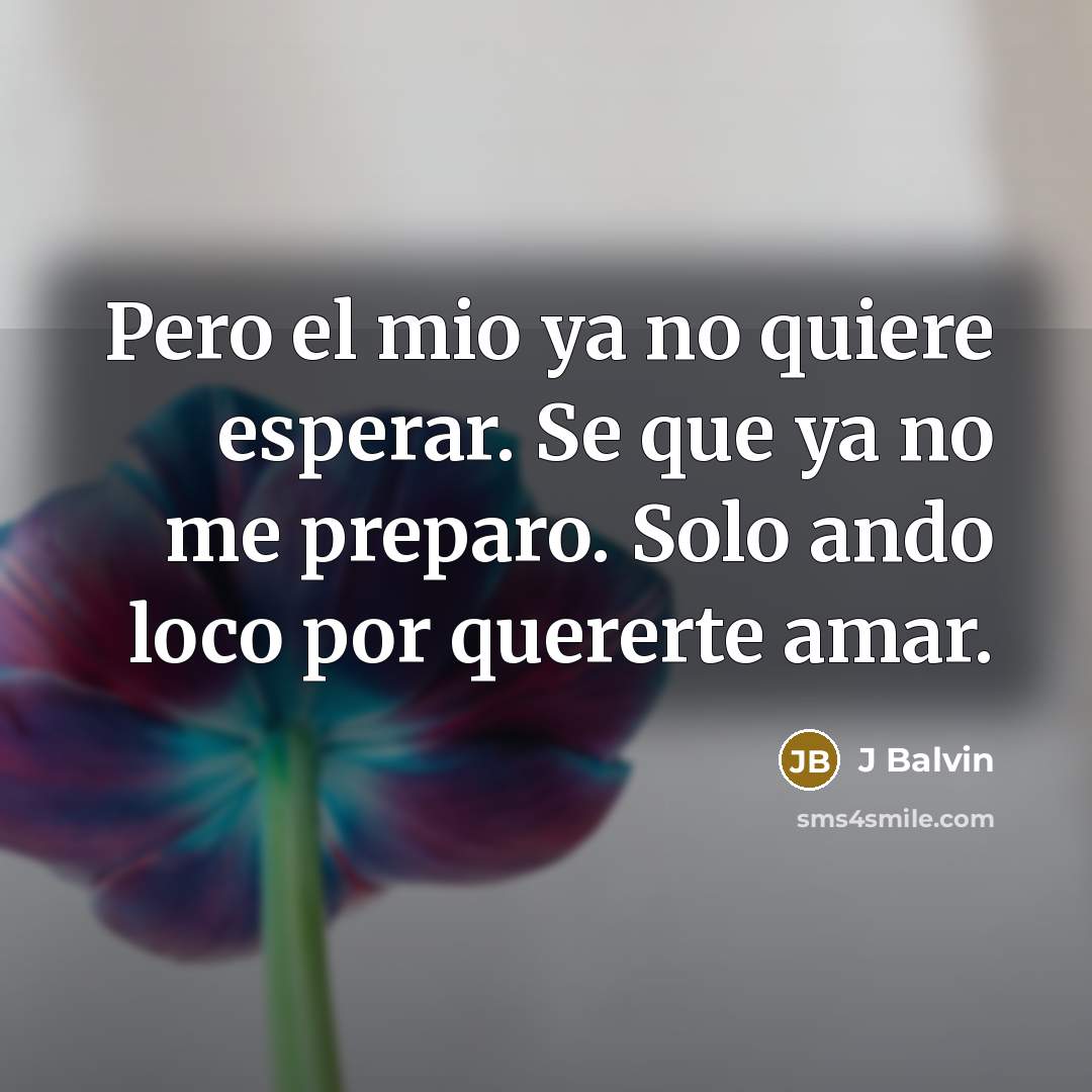“Pero el mio ya no quiere esperar. Se que ya no me preparo. Solo ando loco por quererte amar.” quote by J Balvin