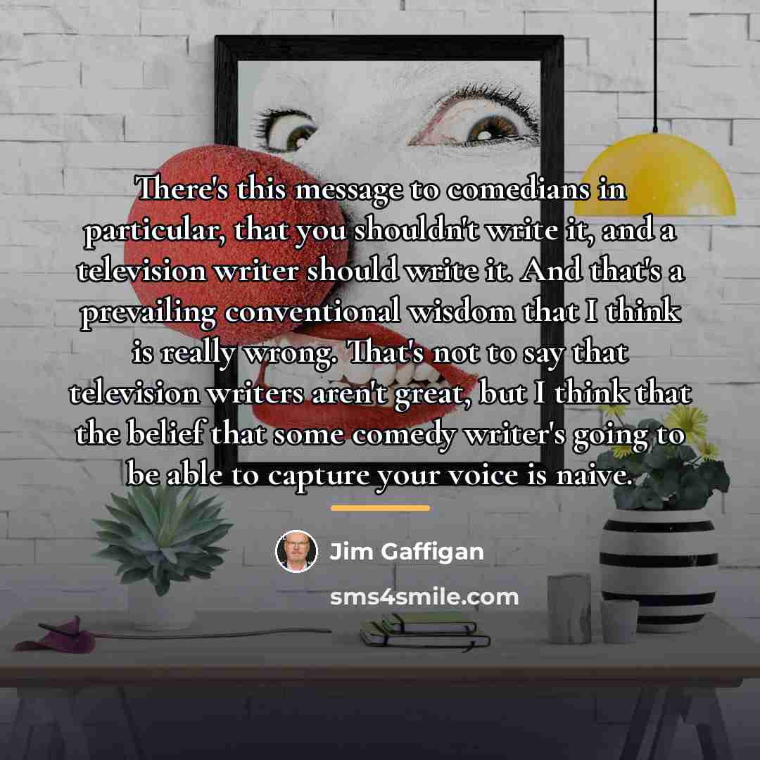 “There's this message to comedians in particular, that you shouldn't…” quote by Jim Gaffigan