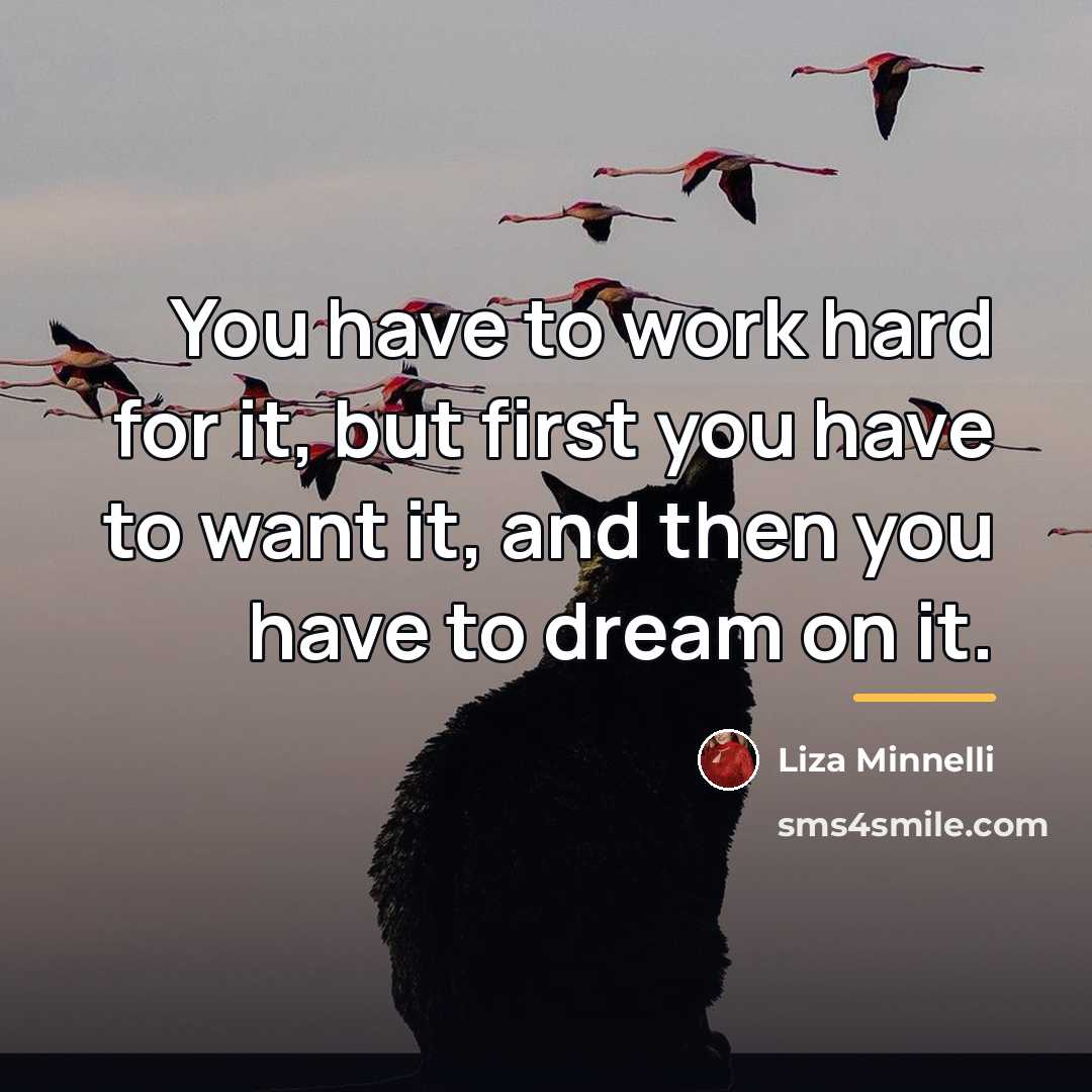 “You have to work hard for it, but first you…” quote by Liza Minnelli