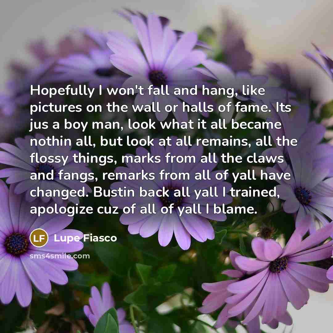 “Hopefully I won't fall and hang, like pictures on the…” quote by Lupe Fiasco