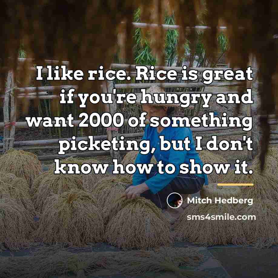 “I like rice. Rice is great if you're hungry and…” quote by Mitch Hedberg