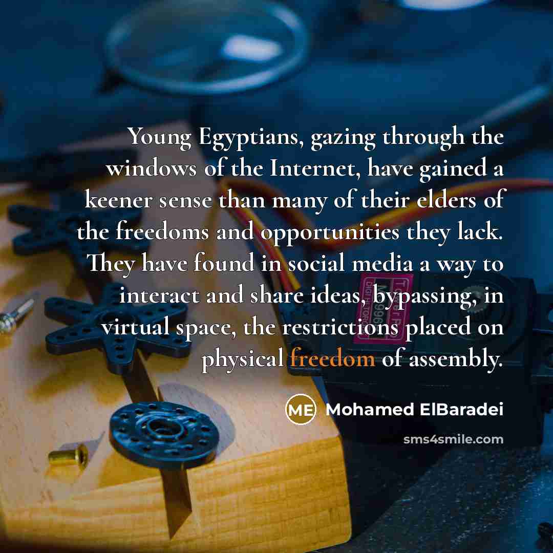 “Young Egyptians, gazing through the windows of the Internet, have…” quote by Mohamed ElBaradei