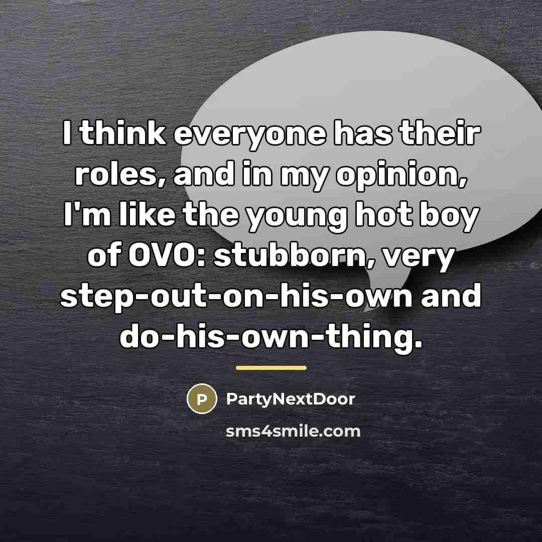 “I think everyone has their roles, and in my opinion,…” quote by PartyNextDoor