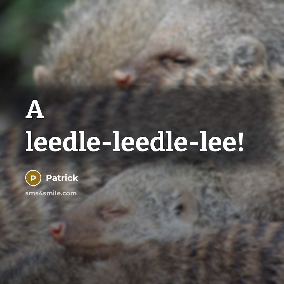 “A leedle-leedle-lee!” quote by Patrick