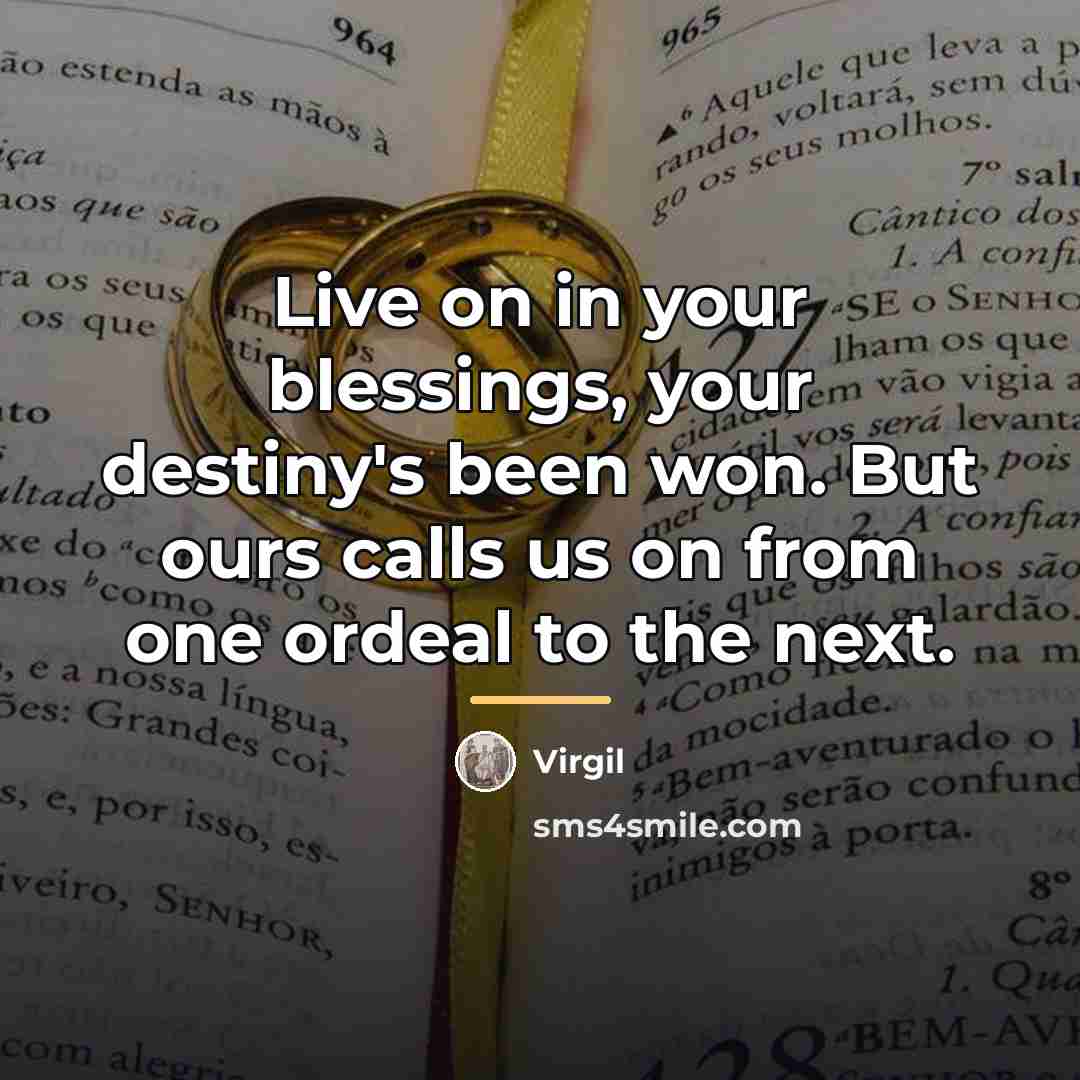 “Live on in your blessings, your destiny's been won. But…” quote by Virgil