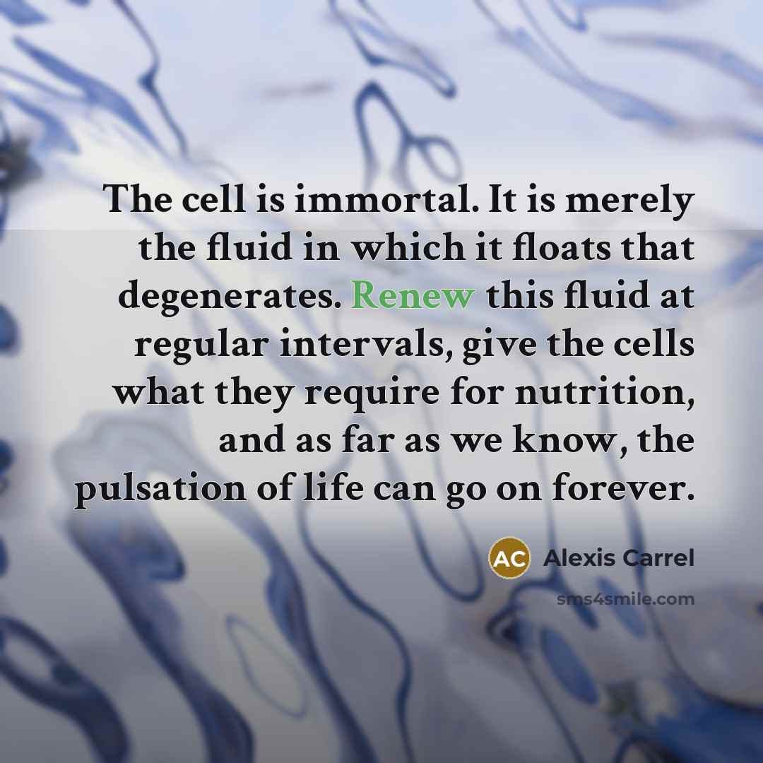 “The cell is immortal. It is merely the fluid in…” quote by Alexis Carrel