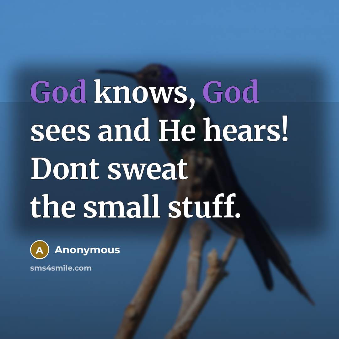 “God knows, God sees and He hears! Dont sweat the…” quote by Anonymous