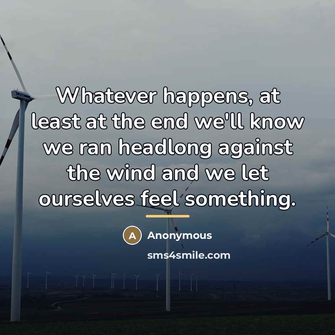 “Whatever happens, at least at the end we'll know we…” quote by Anonymous