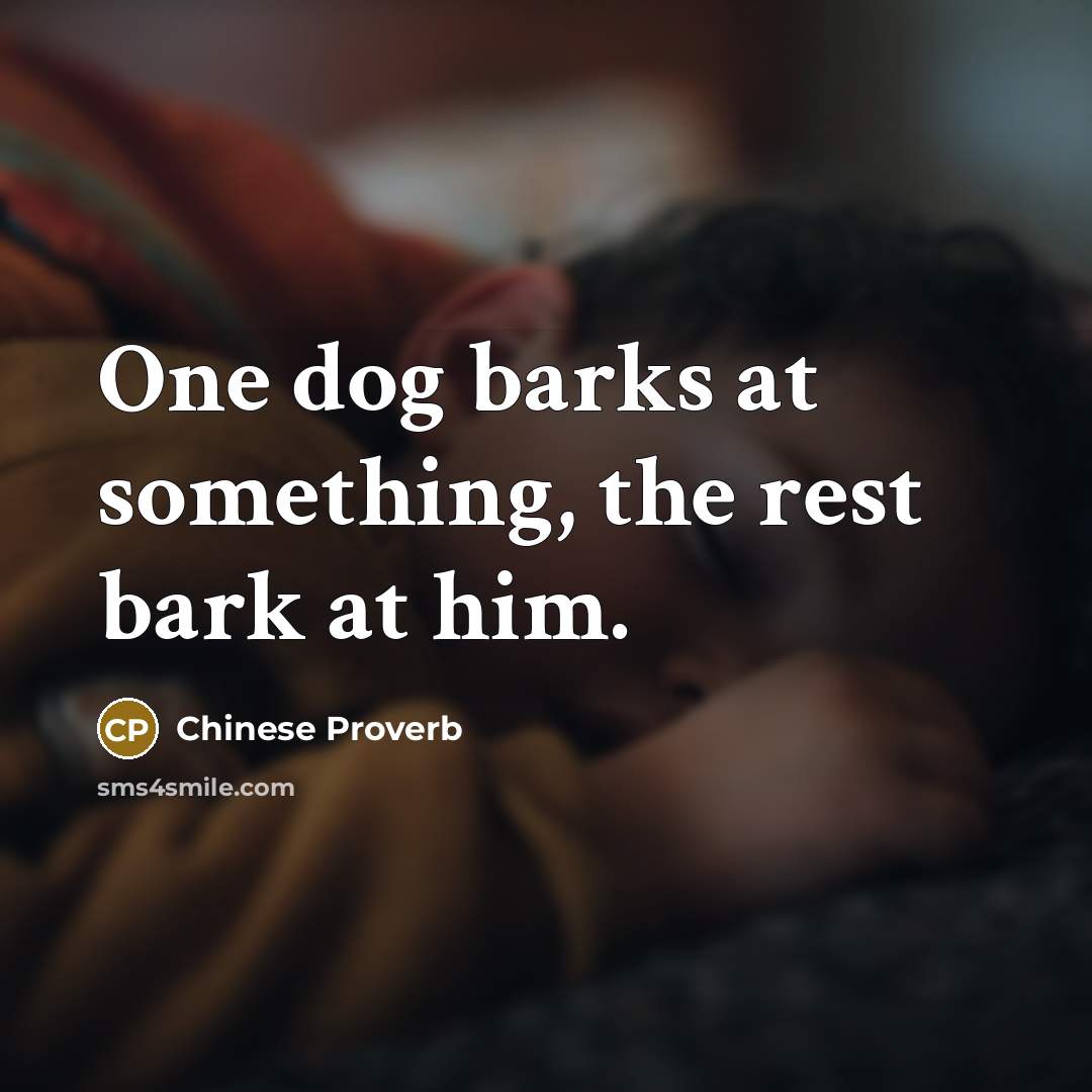 “One dog barks at something, the rest bark at him.…” quote by Chinese Proverb