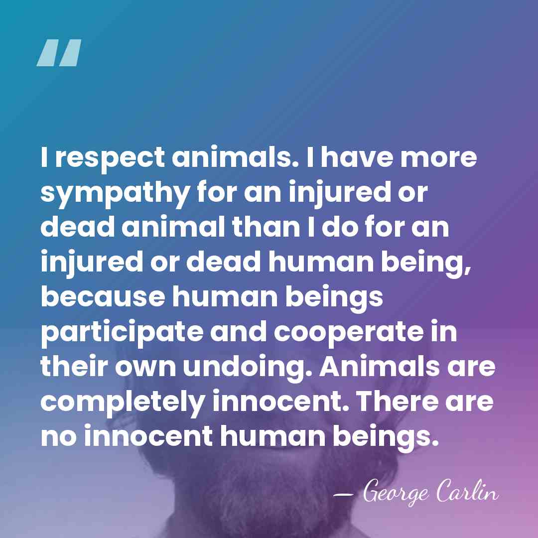 I respect animals. I have more sympathy for an injured or dead&hellip; - George Carlin
