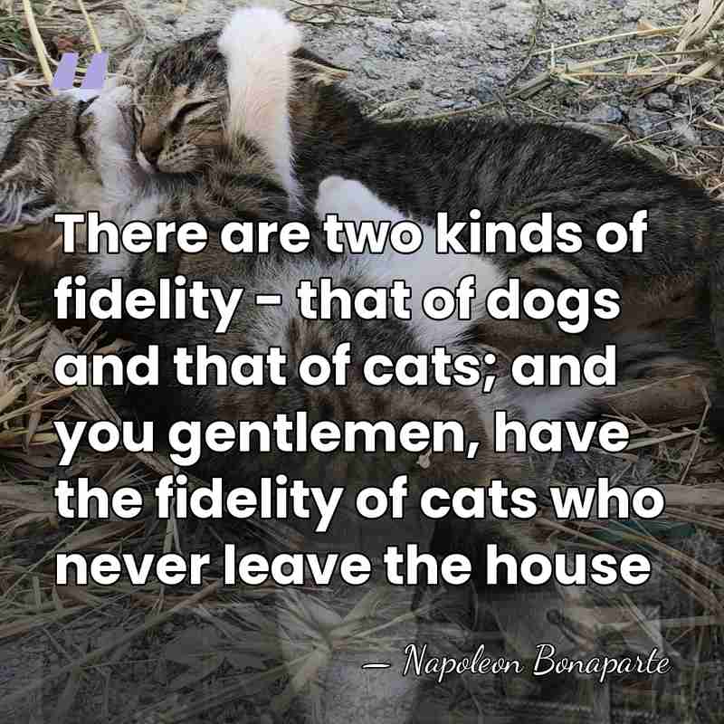 There are two kinds of fidelity - that of dogs and that&hellip; - Napoleon Bonaparte