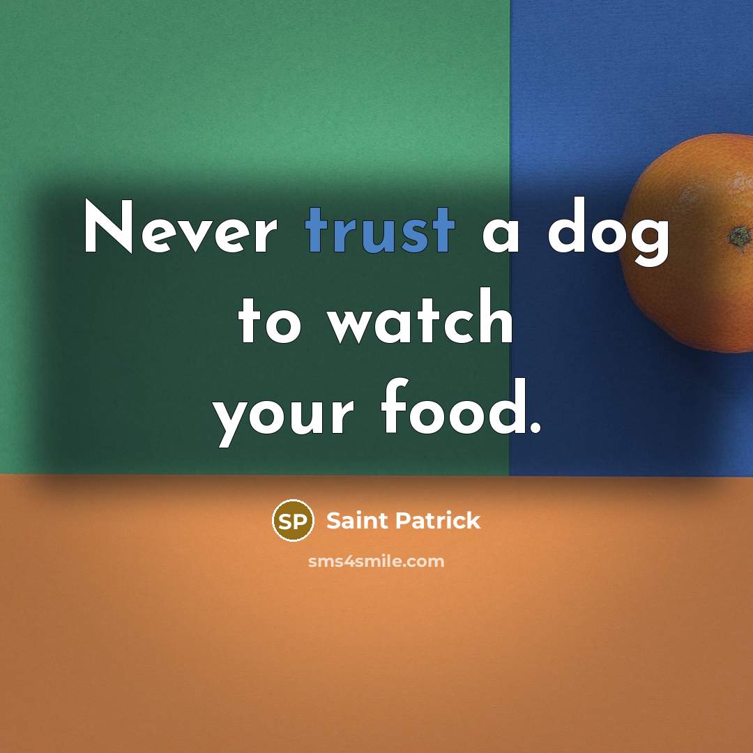 “Never trust a dog to watch your food.…” quote by Saint Patrick