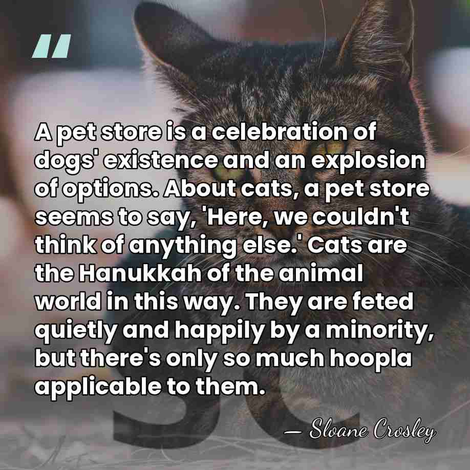 A pet store is a celebration of dogs' existence and an explosion&hellip; - Sloane Crosley