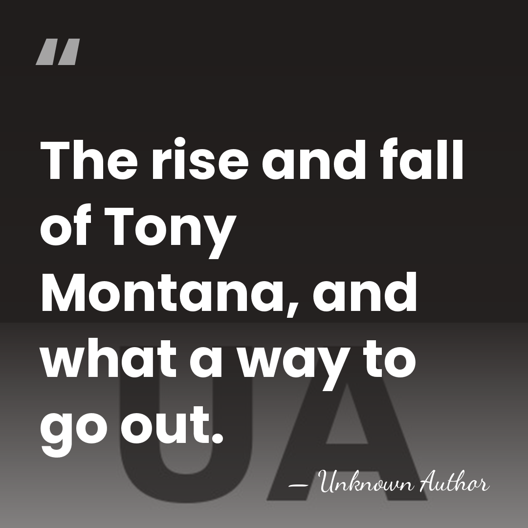 The rise and fall of Tony Montana, and what a way to&hellip; - Unknown Author