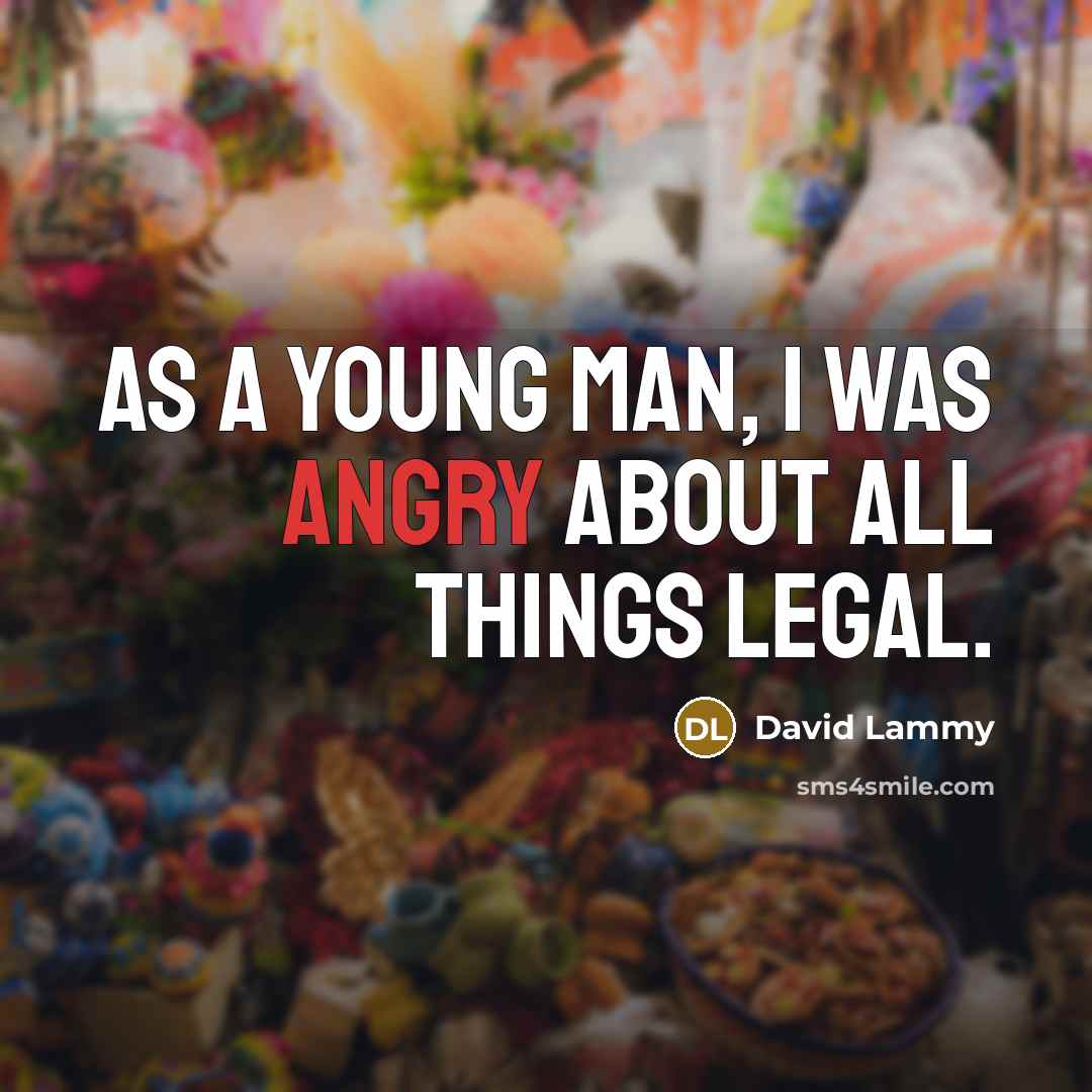 “As a young man, I was angry about all things…” quote by David Lammy