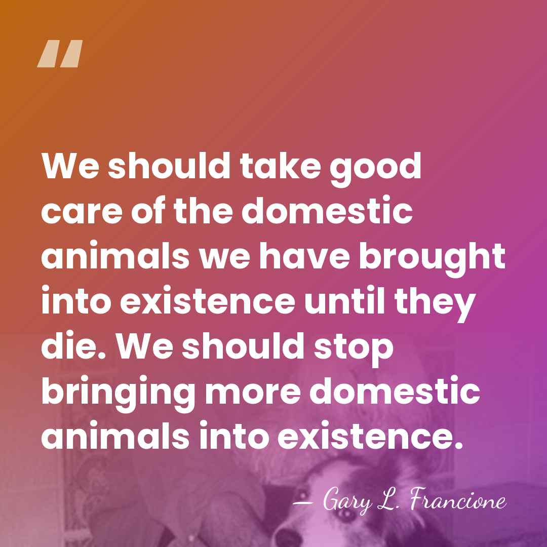 We should take good care of the domestic animals we have brought&hellip; - Gary L. Francione