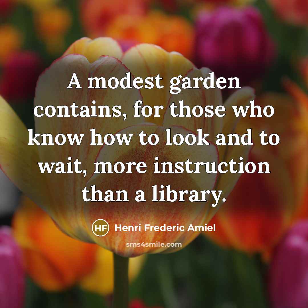 “A modest garden contains, for those who know how to…” quote by Henri Frederic Amiel
