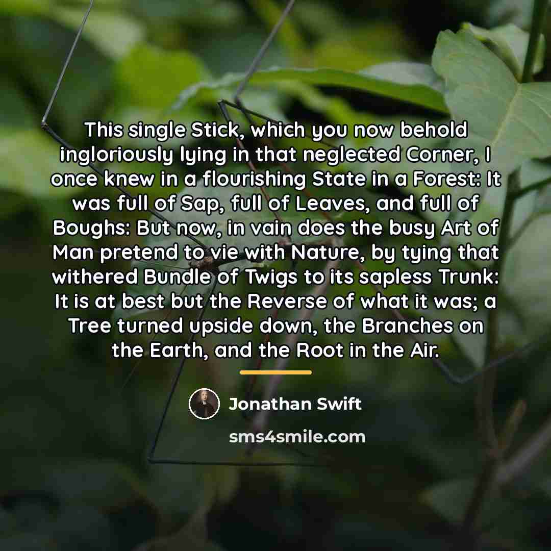 “This single Stick, which you now behold ingloriously lying in…” quote by Jonathan Swift