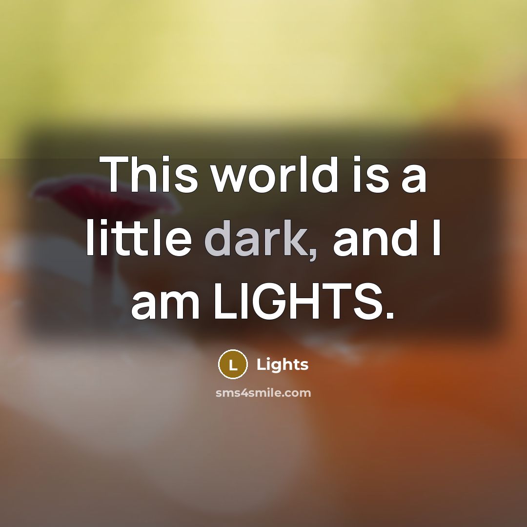 “This world is a little dark, and I am LIGHTS.…” quote by Lights