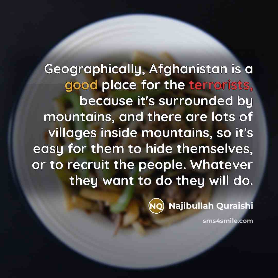 “Geographically, Afghanistan is a good place for the terrorists, because…” quote by Najibullah Quraishi