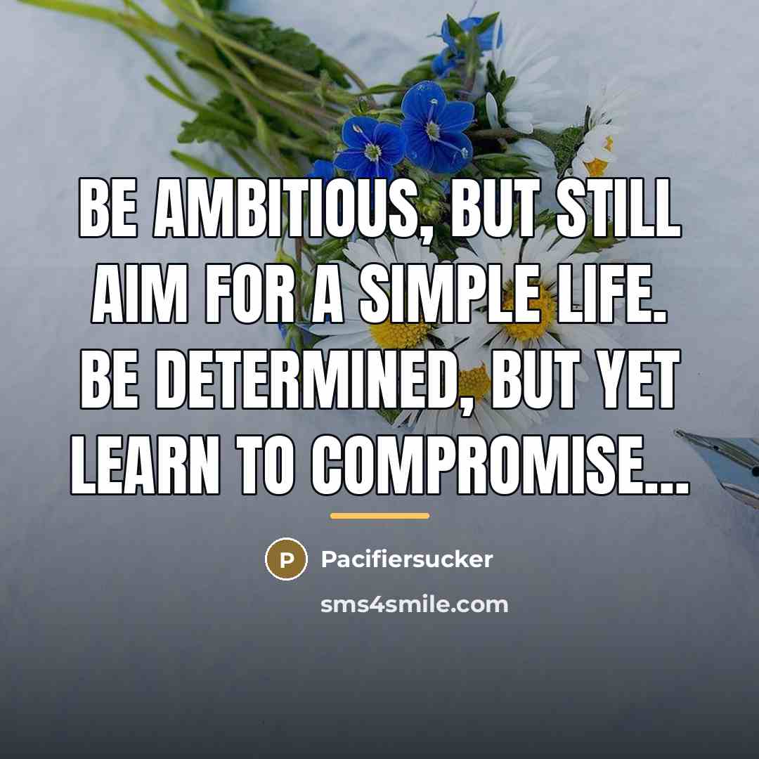 “Be Ambitious, But Still Aim For A Simple Life. Be…” quote by Pacifiersucker
